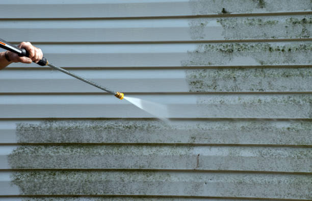 Best Roof Pressure Washing  in Century, FL
