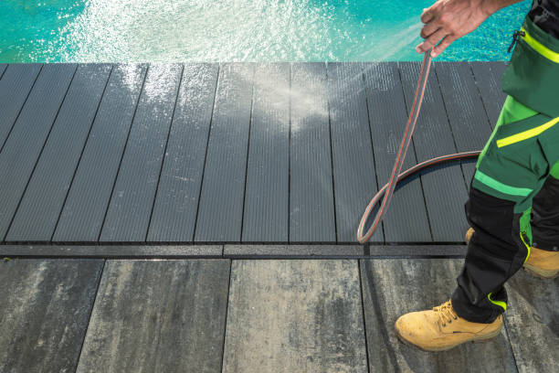 Best Roof Pressure Washing  in Century, FL