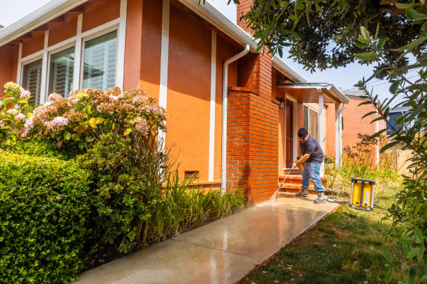 Best Roof Power Washing Services  in Century, FL
